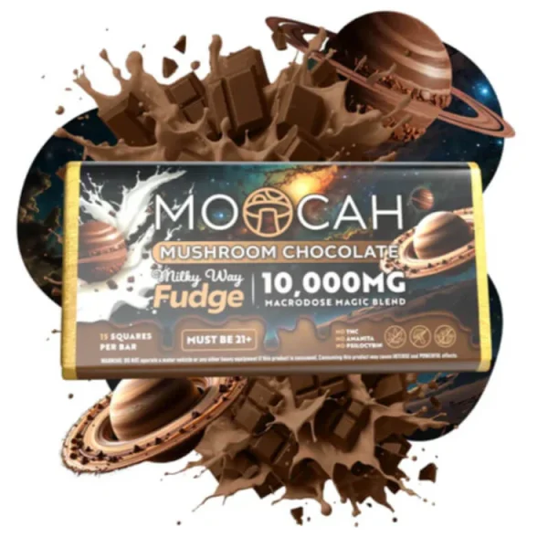Milky Way Fudge Chocolate Bar